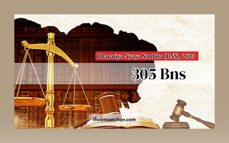305 BNS: 7 Powerful Facts You Must Know Before It’s Too Late 305 BNS: 7 Powerful Facts You Must Know Before It’s Too Late