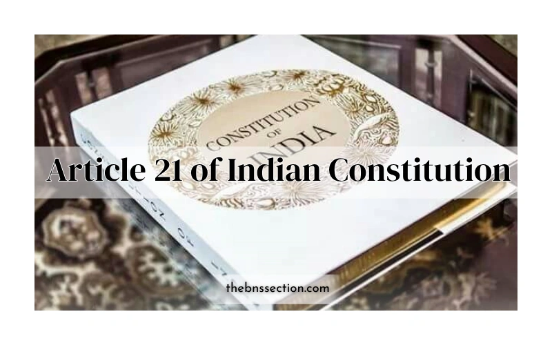Article 21 of Indian Constitution: Your Fundamental Right Explained Simply Article 21 of Indian Constitution: Your Fundamental Right Explained Simply