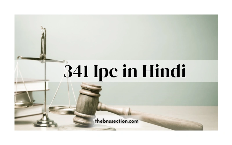 341 IPC in Hindi: सजा कितनी है? वकीलों की आसान व्याख्या 341 IPC in Hindi: सजा कितनी है? वकीलों की आसान व्याख्या