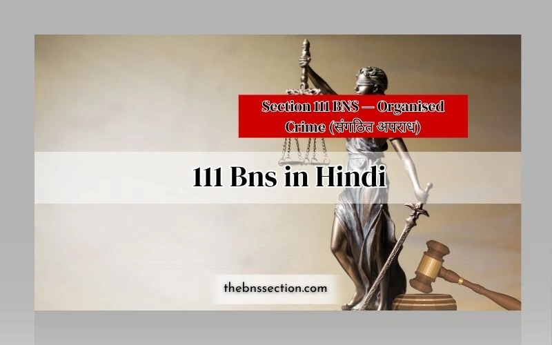 111 Bns in Hindi : धारा 111 क्या है? सज़ा, जमानत और कानूनी जानकारी 111 Bns in Hindi : धारा 111 क्या है? सज़ा, जमानत और कानूनी जानकारी