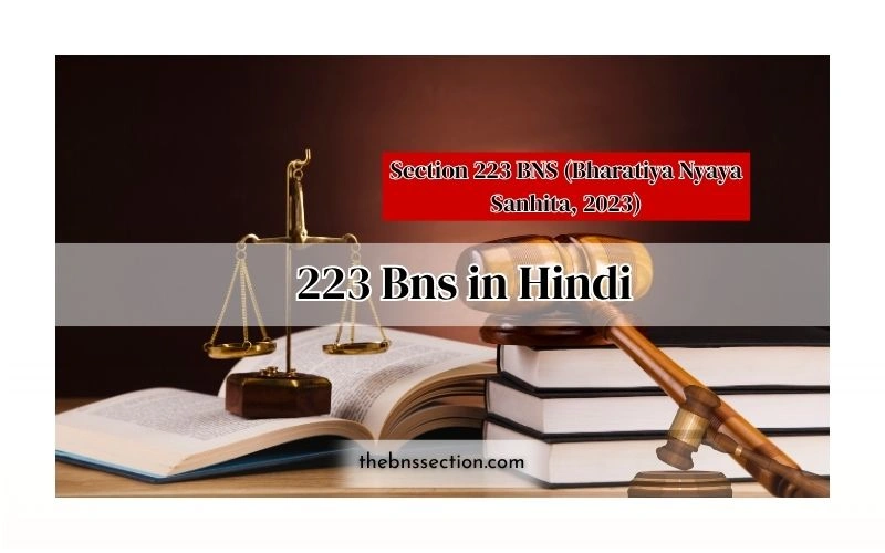 223 BNS in Hindi: धारा 223 के बारे में पूरी जानकारी 223 BNS in Hindi: धारा 223 के बारे में पूरी जानकारी