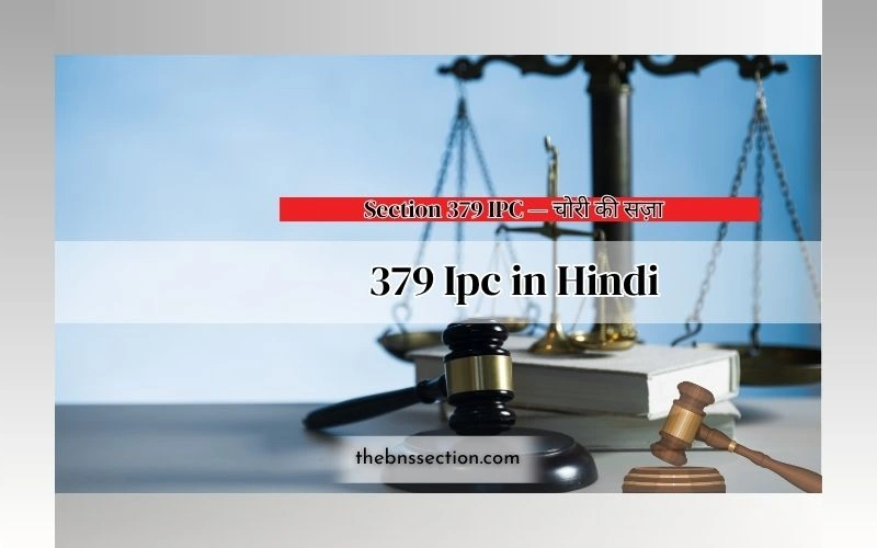 379 Ipc in Hindi : चोरी में 3 साल जेल का सच जानिए 379 Ipc in Hindi : चोरी में 3 साल जेल का सच जानिए